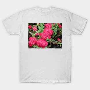 Laura Yarrow flower design T-Shirt